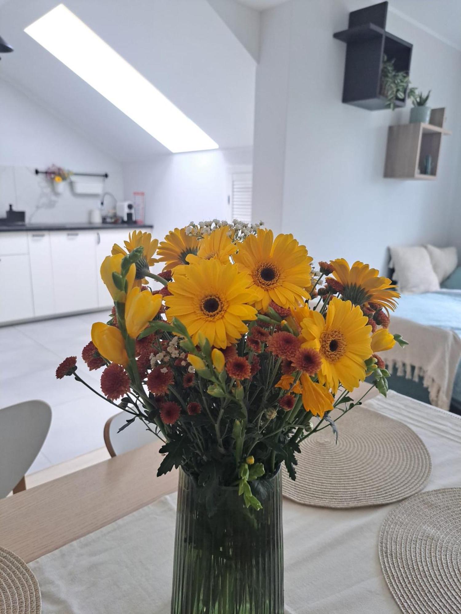 Cosyrest-odpocznij Przytulnie Apartment Wroclaw